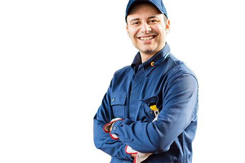 Tradie in a blue shirt